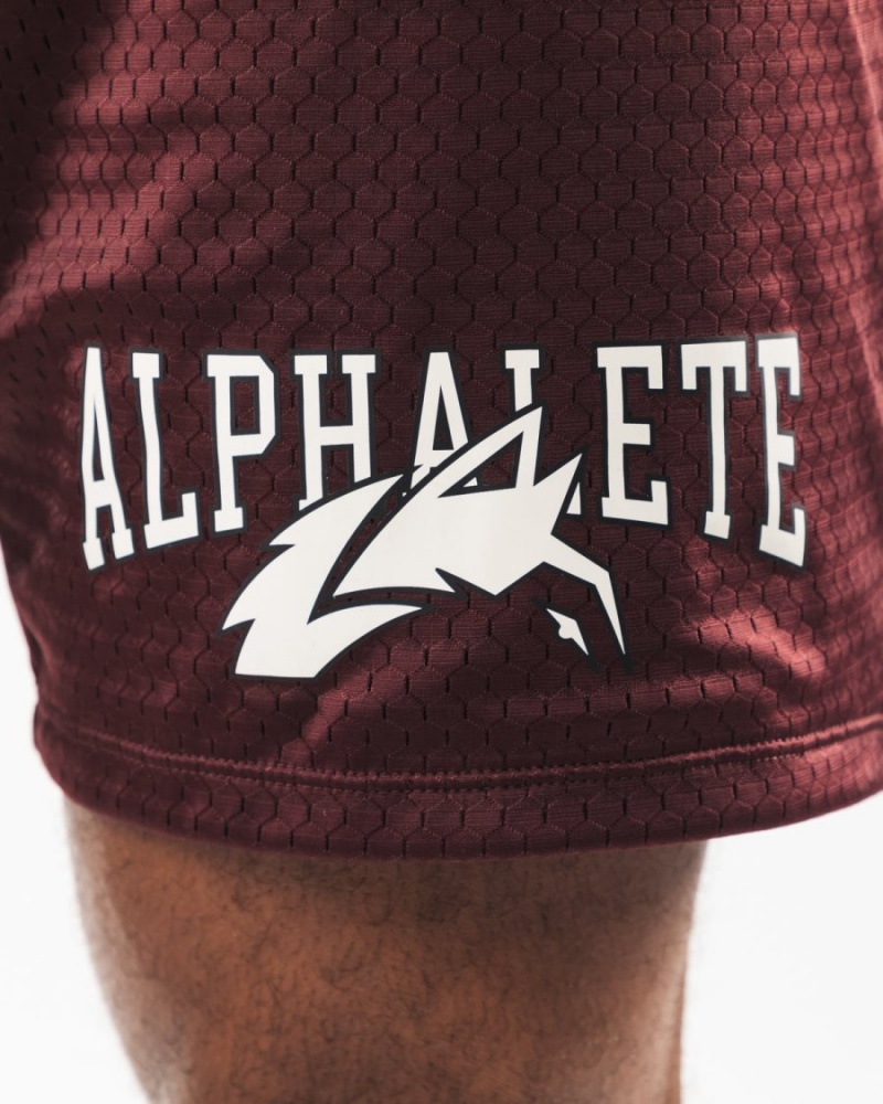 Sangria Alphalete Wolf Head Mesh Short 6" Men's Shorts | 1085439-TV