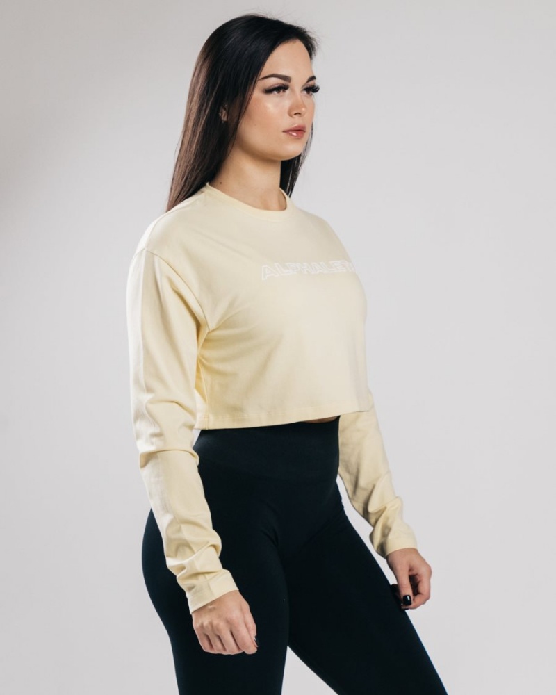 Sea Salt Alphalete Outlined Long Sleeve Crop Women's Long Sleeve | 7934608-AX