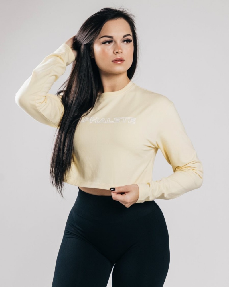 Sea Salt Alphalete Outlined Long Sleeve Crop Women's Long Sleeve | 7934608-AX