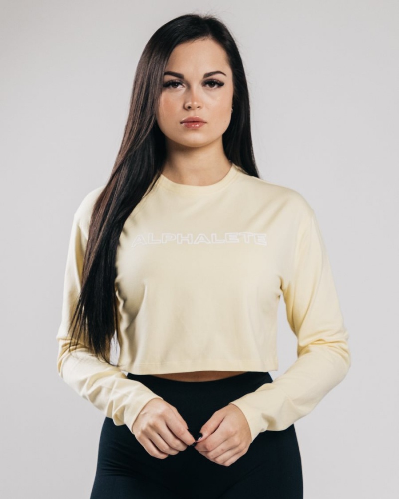 Sea Salt Alphalete Outlined Long Sleeve Crop Women\'s Long Sleeve | 7934608-AX