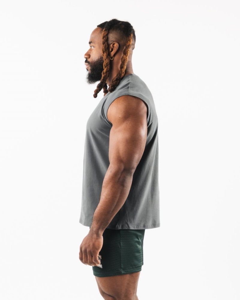 Smoke Alphalete Brushed Wolf Head Muscle Tank Men's Tanks | 8917430-FZ