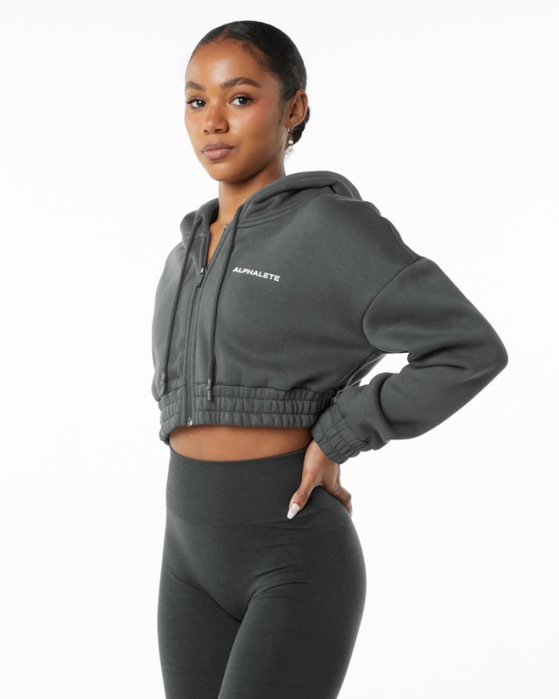 Smoke Alphalete Classic Capital Full-Zip Crop Jacket Women's Jackets | 3754682-DM