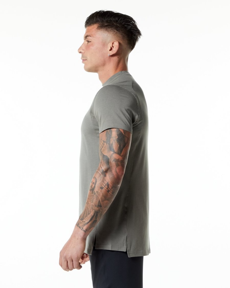 Stone Grey Alphalete Evo Tee Men's Shirts | 0938741-DT