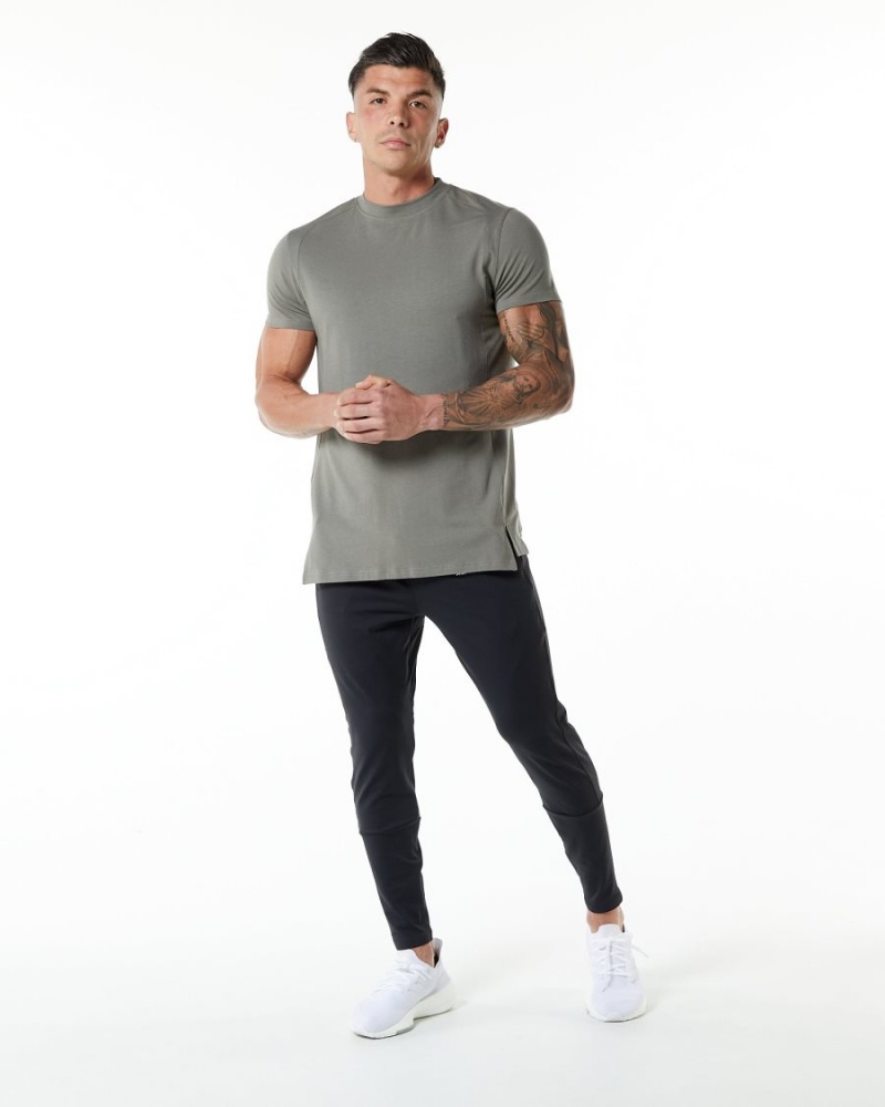 Stone Grey Alphalete Evo Tee Men's Shirts | 0938741-DT