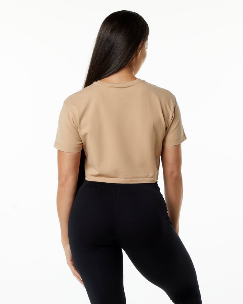 Taupe Alphalete Dynasty Crop Women's Shirts | 6985013-WT