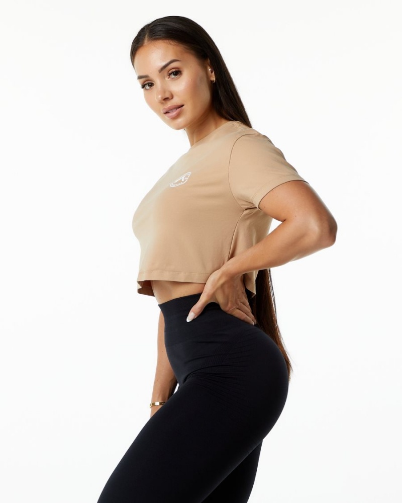 Taupe Alphalete Dynasty Crop Women's Shirts | 6985013-WT