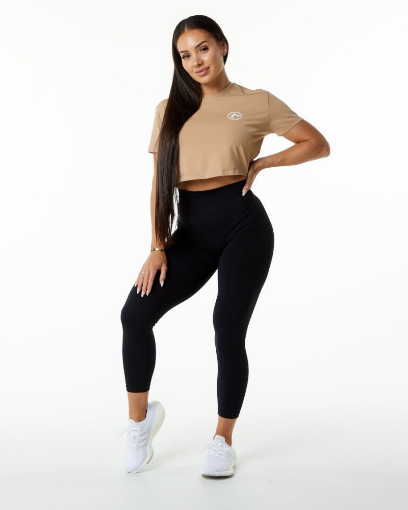 Taupe Alphalete Dynasty Crop Women's Shirts | 6985013-WT