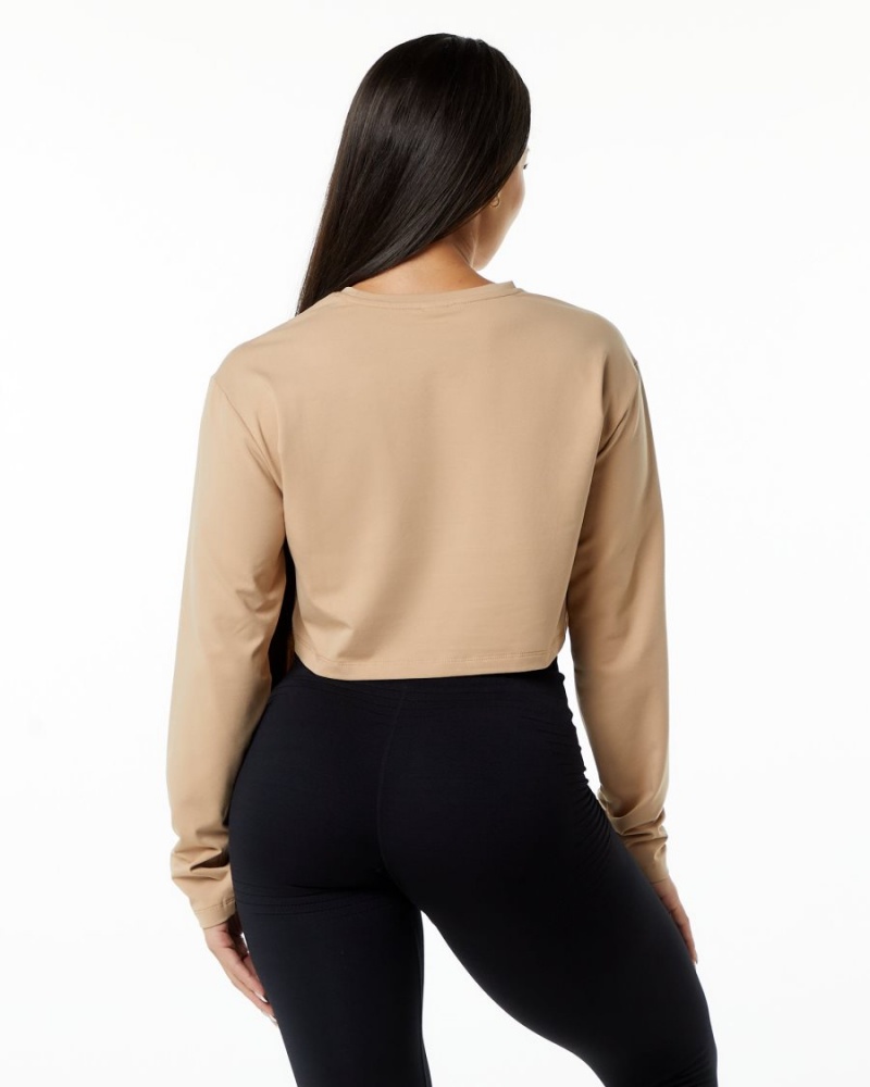 Taupe Alphalete Dynasty LS Crop Women's Long Sleeve | 4958762-XR