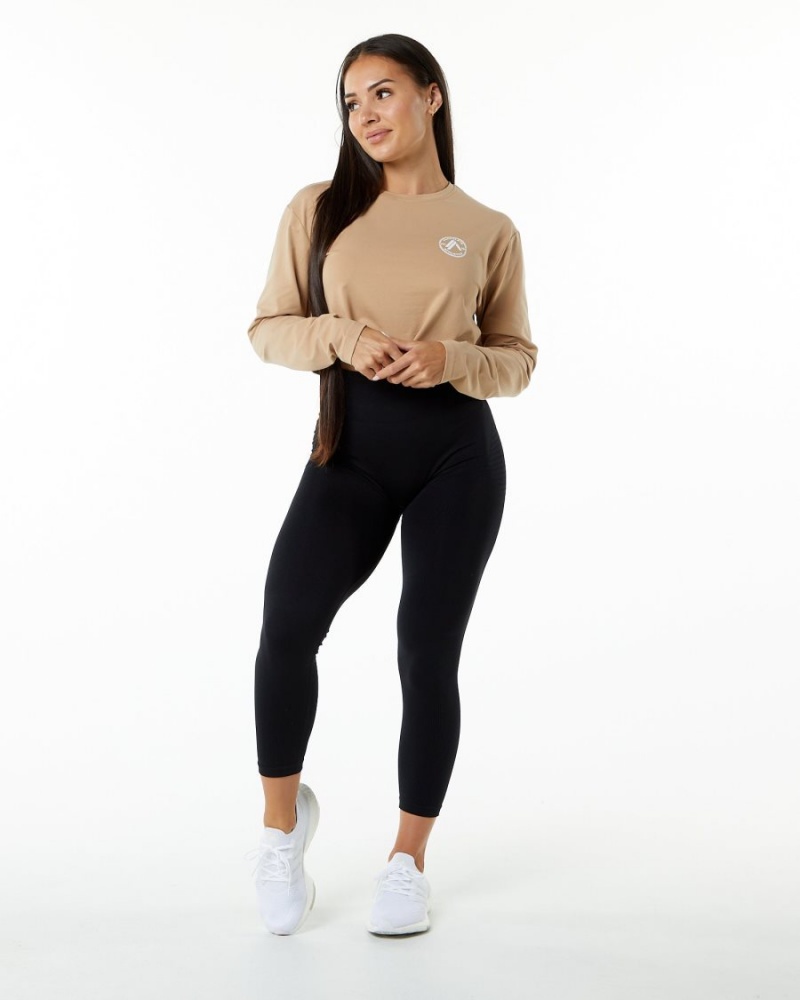 Taupe Alphalete Dynasty LS Crop Women's Long Sleeve | 4958762-XR