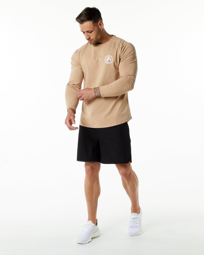 Taupe Alphalete Dynasty LS Tee Men's Shirts | 9680132-UE