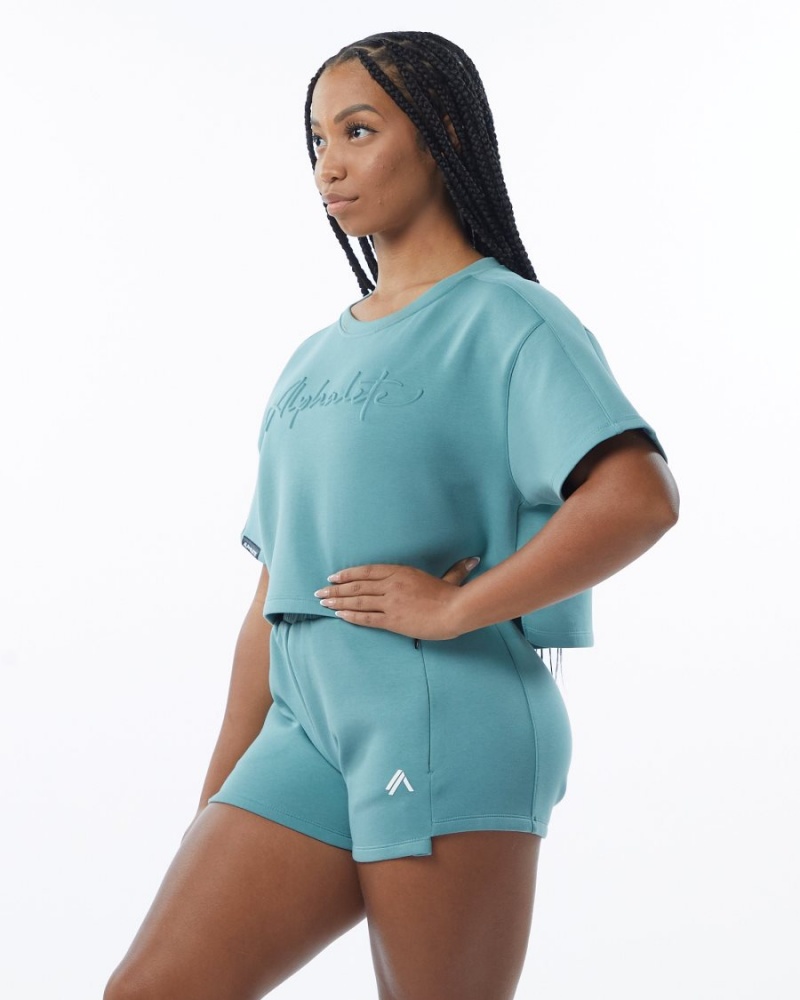 Teal Alphalete ELMTS Half Sleeve Pullover Women's Jackets | 1035876-FM