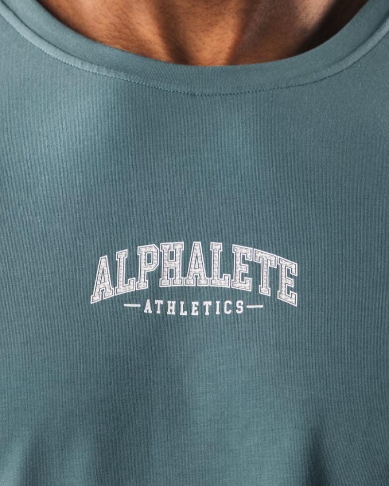 Turquoise Alphalete AA Paisley Print LS Tee Men's Shirts | 4137586-JE