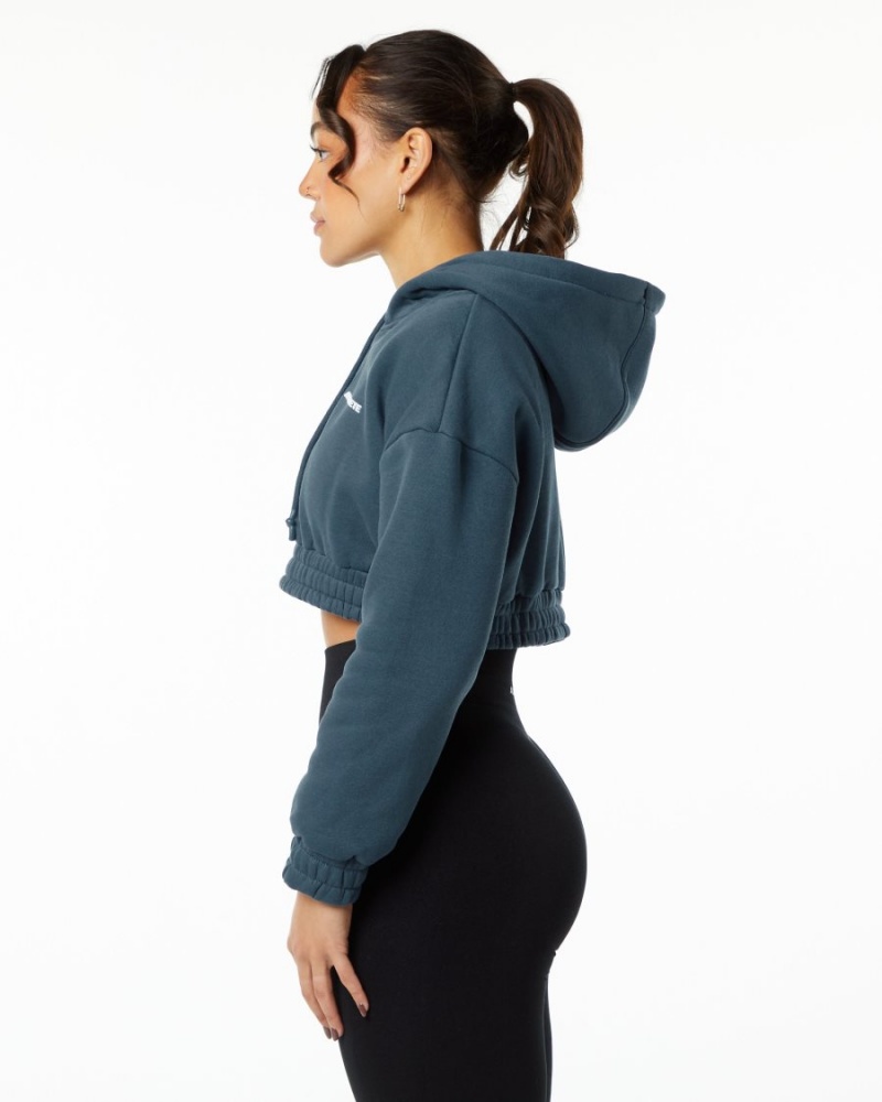 Whale Blue Alphalete Classic Capital Crop Hoodie Women's Hoodie | 1597826-NT