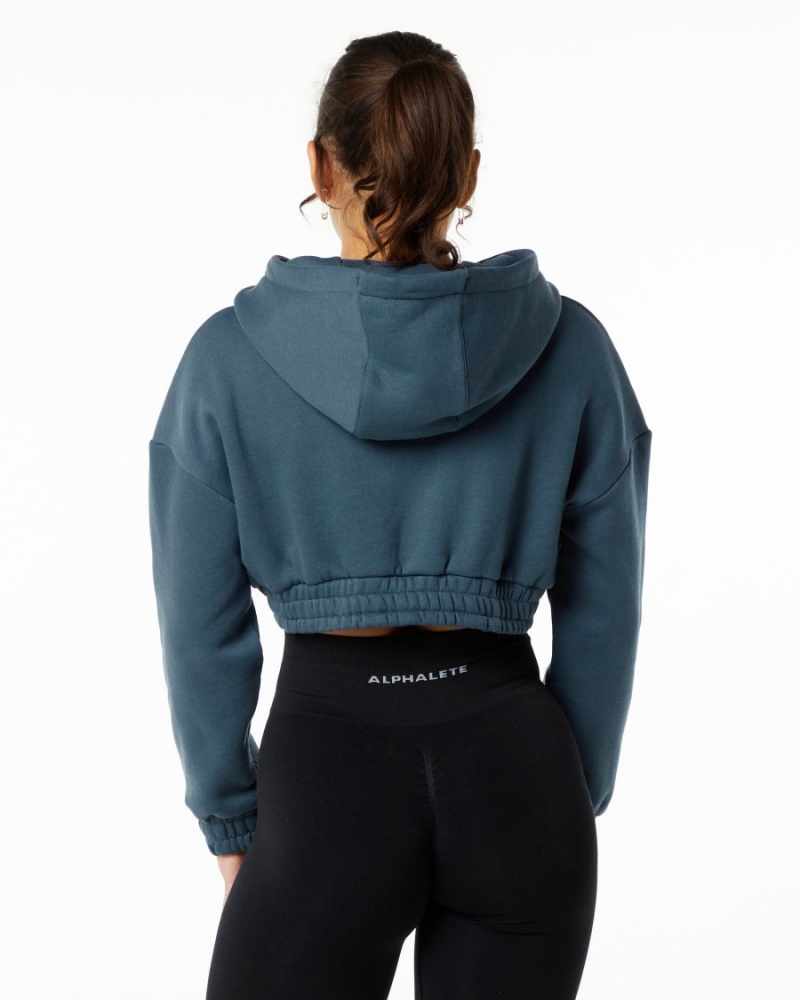 Whale Blue Alphalete Classic Capital Crop Hoodie Women's Hoodie | 1597826-NT