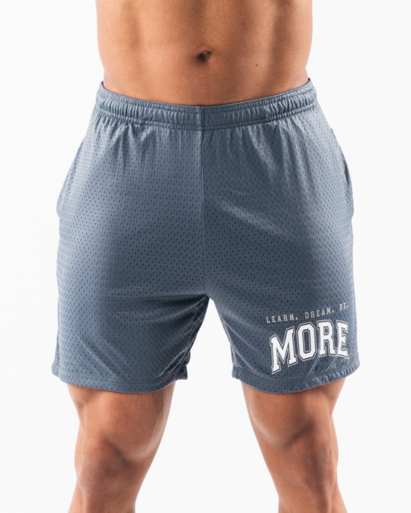 Whale Blue Alphalete LDB More Mesh Short 6” Men\'s Shorts | 6235407-AL